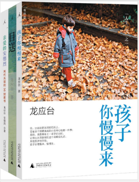 龙应台人生三书:《目送》《亲爱的安德烈》《孩子你慢慢来》(套装共3册).pdf