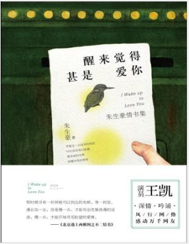 醒来觉得甚是爱你：朱生豪情书集 PDF电子书下载