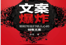 文案爆炸:轻松写出打动人心的销售文案 PDF电子书下载|爱分享
