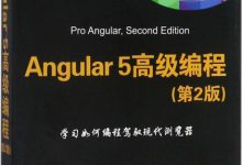 Angular 5高级编程(第2版) 中文版 PDF电子书下载|爱分享