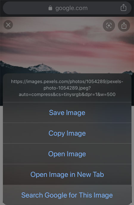 Google图片反向搜索(分别在PC端和移动端)插图2