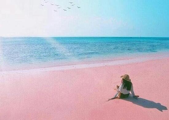 粉色沙滩是哪个国家的,粉红沙滩是如何形成的插图1