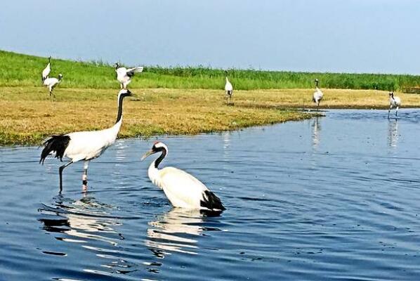 中国十大最美湿地排行榜 杭州西溪湿地上榜，第一在内蒙古插图3