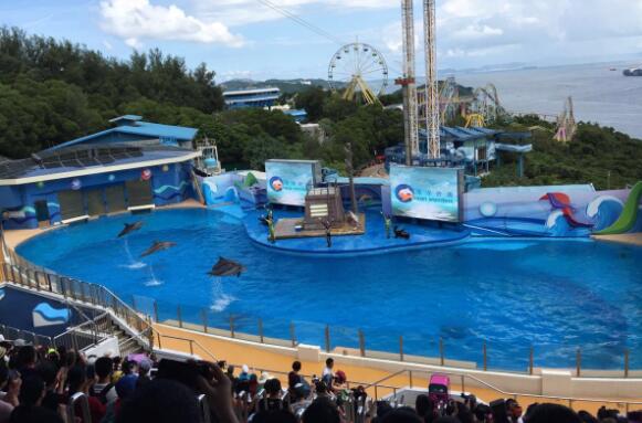 香港好玩的地方排行榜，兰桂坊上榜，迪士尼别错过插图1