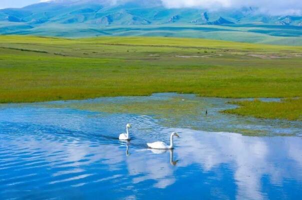 中国十大最美湿地排行榜 杭州西溪湿地上榜，第一在内蒙古插图1