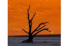 世界十大最美日落地 如同油画一般的画面，美到窒息|爱分享