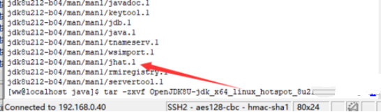 如何在linux下更新java版本插图4