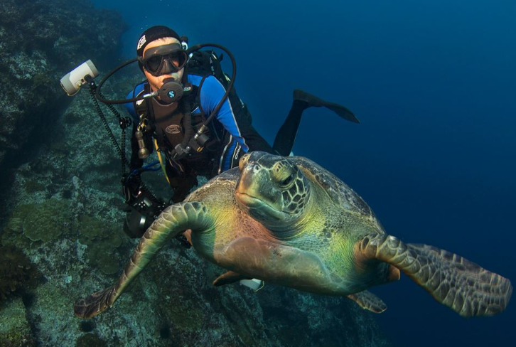全球十大潜水地排行 带你进入全新的世界，你想要去吗插图2