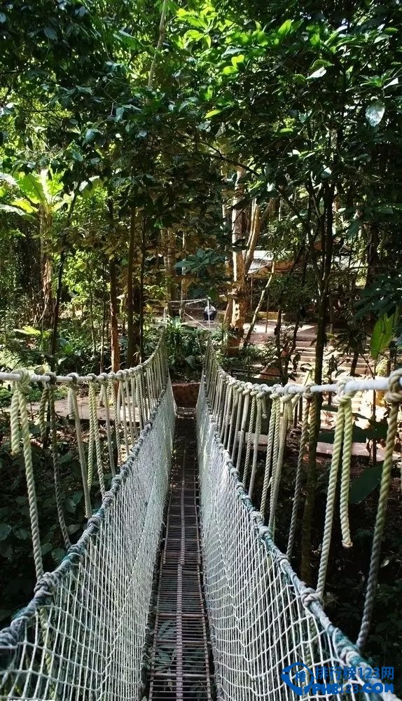 国内十大天然氧排行榜插图4