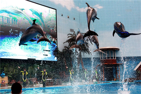 天津本地人一日游景点推荐 天津科技馆特色南开大学历史悠久插图8