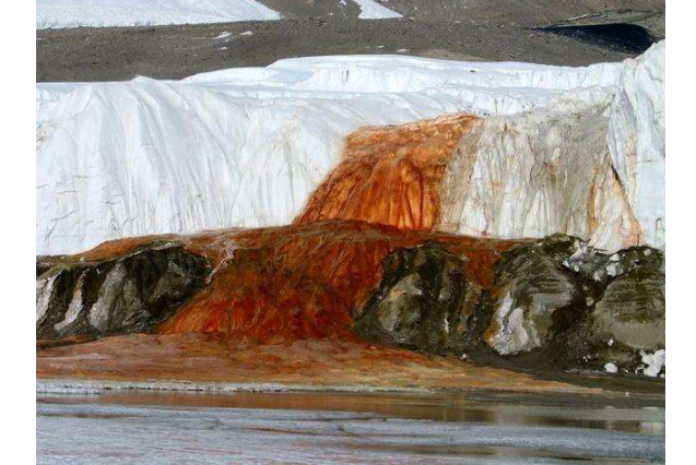 世界十大奇观现象 这些奇妙美景，你见过哪些插图
