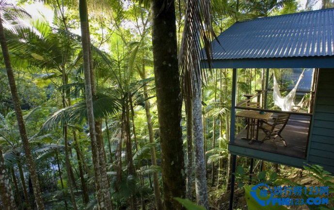 全球十大静美森林排行榜插图8