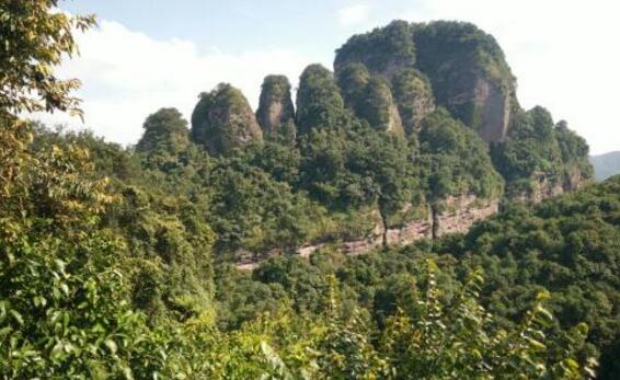 梅州好玩的地方排行榜 泰安楼国内少见,第一是梅州走向世界名片插图3