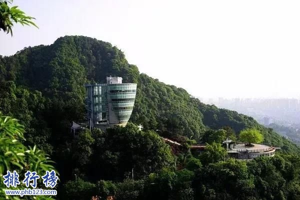 重庆有什么好玩的地方 重庆旅游十大必去景点排行榜插图8