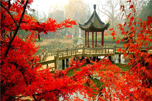 10月国内最佳旅游地点排行榜：蛟河红叶谷上榜，第2在新疆插图5