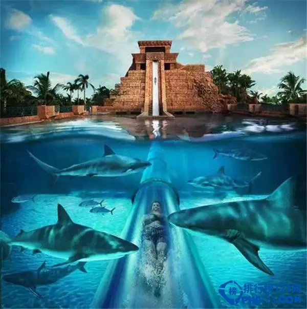 十大疯狂的水上乐园插图2