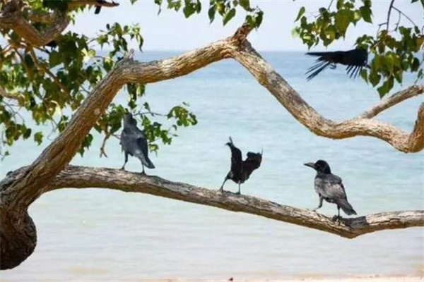 印尼十大岛屿排名 巴厘岛无疑居榜首，其它的也都是美Cry插图2