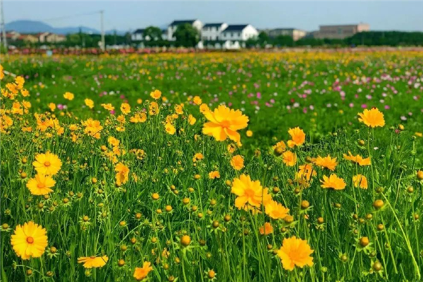 宁波十大风景区排行榜：宁波老外滩上榜，四明山观景台第一插图4
