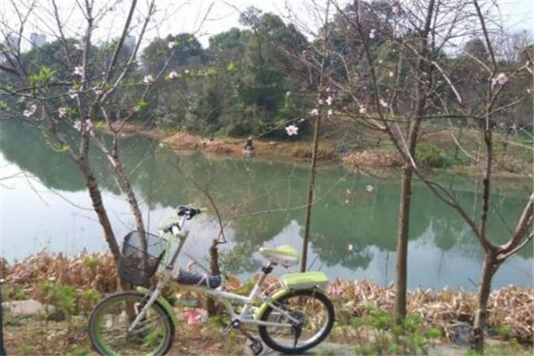 湘潭最好玩的地方推荐 湘潭好玩的地方排行榜插图6