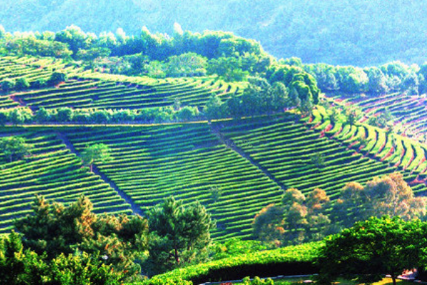 广东十大最值得去的景点 丹霞山为世界双遗产，罗浮山上榜插图5