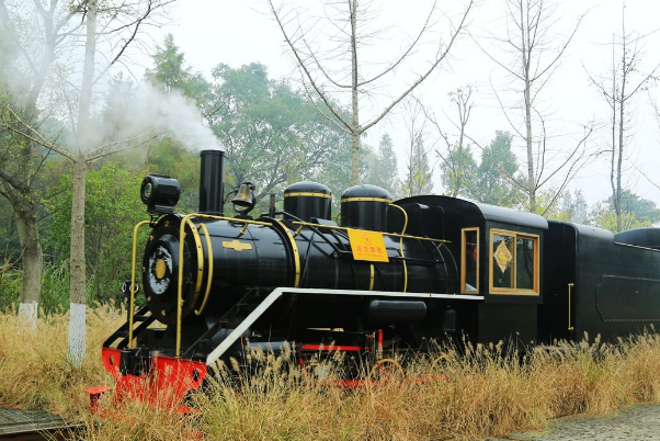 杭州十大网红景点：河坊街上榜，它有两个身份插图6