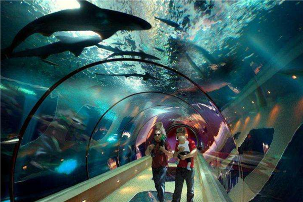 长春十大网红景点排名 长影世纪城表演多巴蜀映巷别有风味插图8