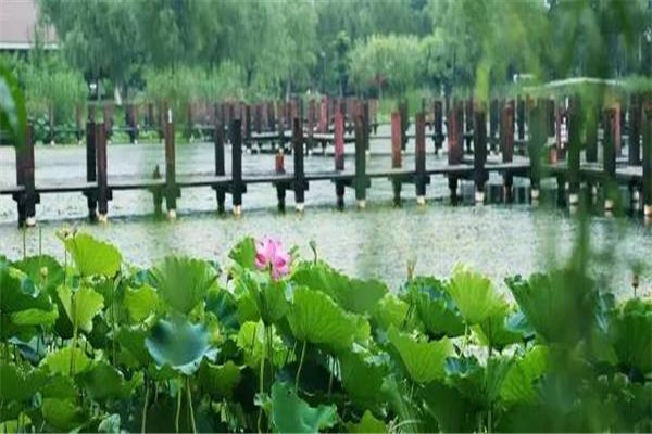 滁州十大公园广场排名：花园湖公园上榜，第五看荷花插图5