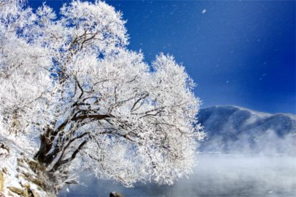 中国十大最美雾凇观赏地：衡山上榜，第六是天鹅栖息地插图2