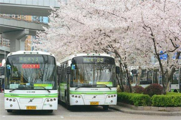 上海景色最美的地方 钟书阁必去，其它每一个都是美到爆插图7