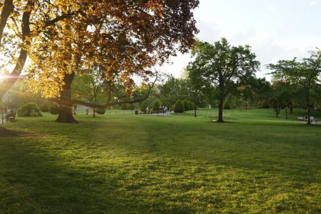 美国十大必去的景点，快来看看哪个能吸引到你插图8