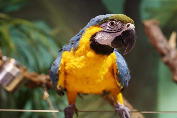 郑州网红景点排名 郑州方特水上乐园与城市之光极具特点插图4