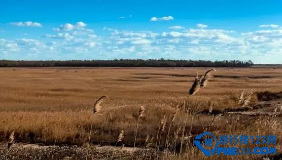 中国最美十大湿地排行榜 中国最好看的湿地有哪些插图5