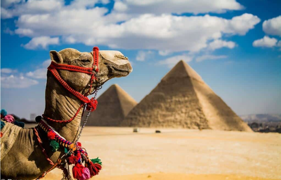 国内外带孩子必去的十大城市排行榜：埃及第一，第六你一定想不到插图