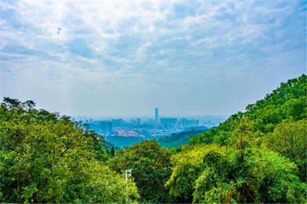 东莞十大免费景点 粤晖园上榜，旗峰公园排第七位插图8