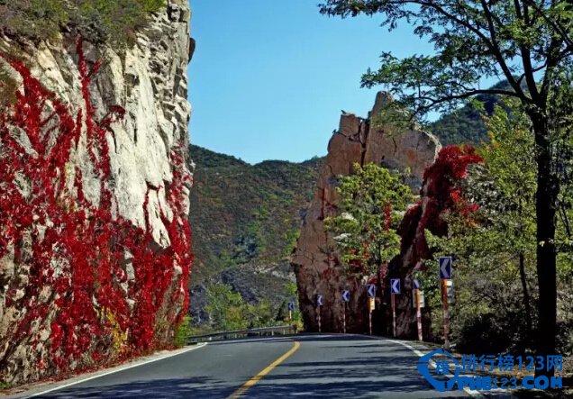 北京深秋最美的十条公路排行榜插图2