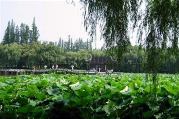 衡阳最好玩的地方推荐 衡阳好玩的地方排行榜插图8