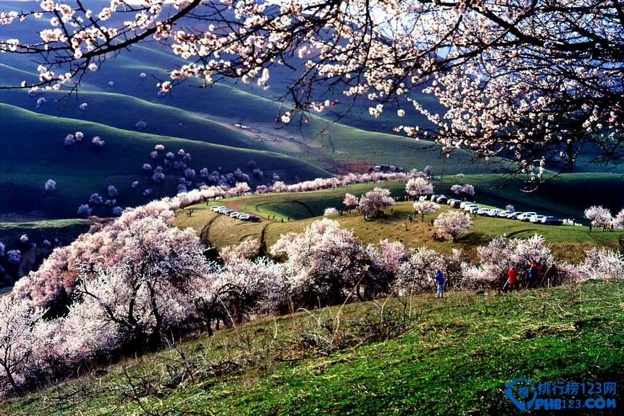 你不得不知的二十个美不胜收的新疆美景插图7