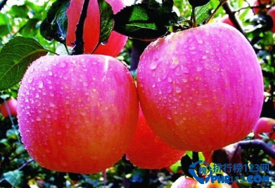 盘点冬天可以提高免疫力的十大美食插图3