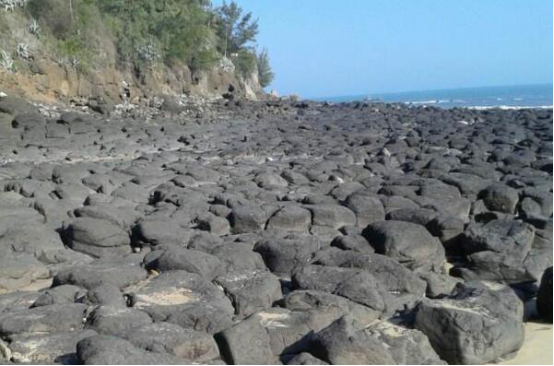 漳州旅游必去十大景点  看看人间仙境花花世界东南花都花博园插图5
