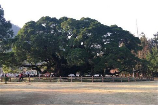 福州市十大旅游景点：坛南湾风景如画 第2有超多风味小吃插图7