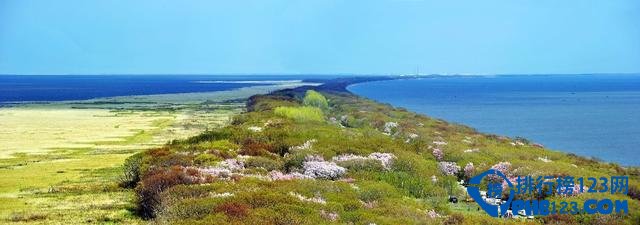 黑龙江十大最美湿地，你去过几个？插图3