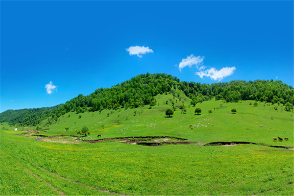 宝鸡十大景区排行榜：水城三国小镇上榜，中国周原景区订第三插图3