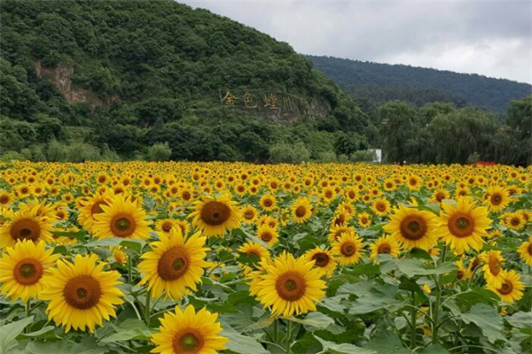 昆明十大人少好玩的景点：螳螂川上榜，第十是“人间仙境”插图1