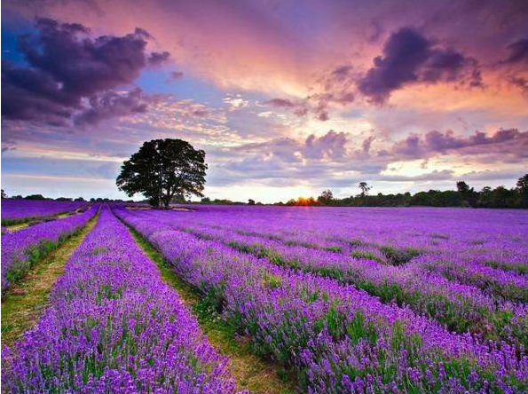 郑州情侣十大必去之地 郑州适合情侣去的景点插图1