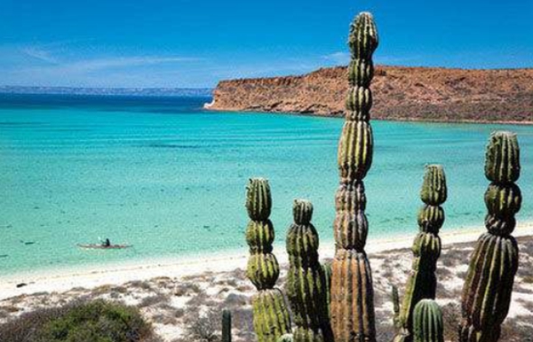 全球十大浪漫婚礼地点，都是别具一格的风景插图3