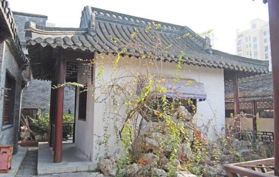 盐城好玩的地方排行榜 水街必去，荷兰花海带你体验异国情调插图7