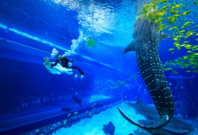 儿童旅游景点排行 三亚最受欢迎，重庆黑山谷上榜|爱分享