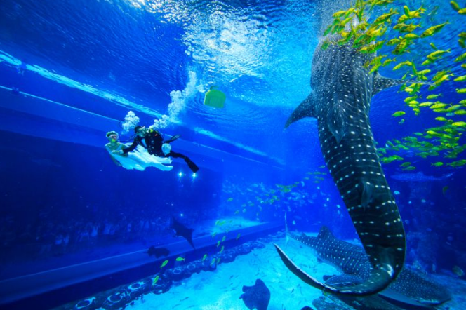 儿童旅游景点排行 三亚最受欢迎，重庆黑山谷上榜插图6