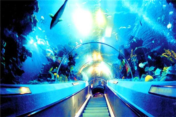 广东十大适合亲子旅游的地方 广州海洋馆上榜，第一名是白云山插图1