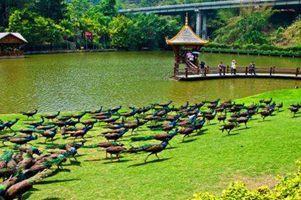 中国十大宰客景区:美丽的雪乡居然上榜，这些雷一定要小心插图5